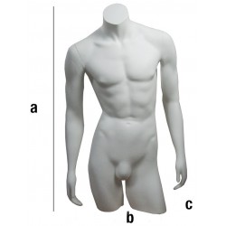 Bust barbat M_RO_T40